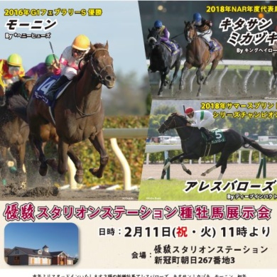 優駿スタリオンステーション 種牡馬展示会告知広告