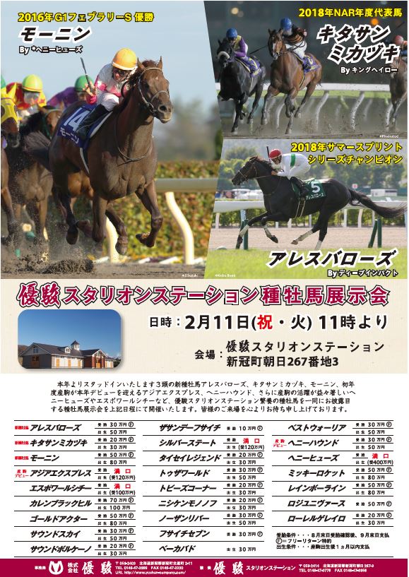 優駿スタリオンステーション 種牡馬展示会告知広告