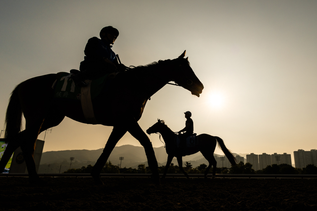 Track Work