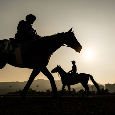 Track Work